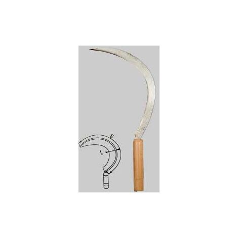 Falciola dentata falci n  1 (s445/l22 mm)