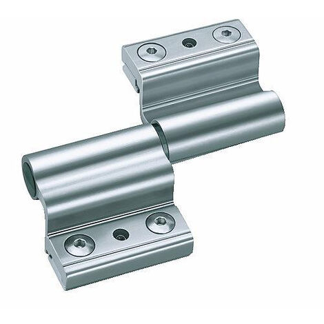 Fapim – Paumelle pour porte lourde aluminium – Argent V – pour jeu de 17 – Usage intensif – Fonctionnement fluide et sécurisé