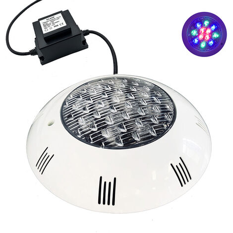 Faretto da Esterno a Led Multicolore 12V con Crepuscolare Rama Led 1000