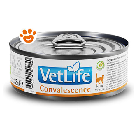 Farmina Cat Vet Life Convalescence  - Farmina Cat Vet Life Convalescence - Lattina Da 85 Gr