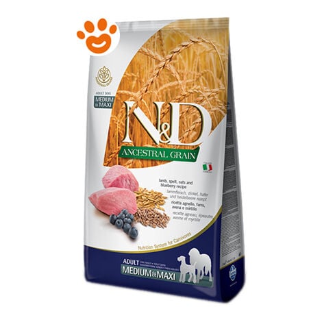 Farmina Dog N&ampD Ancestral Grain Adult Medium Maxi Agnello e Mirtillo  - Farmina Dog N&ampD Ancestral Grain Adult Medium Maxi Agnello e Mirtillo - Sacco Da 12 Kg