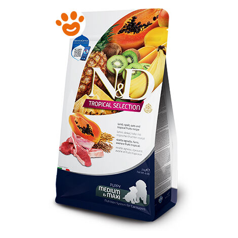 Farmina Dog N&D Tropical Puppy Medium Maxi Agnello  - Farmina Dog N&D Tropical Puppy Medium Maxi Agnello - Sacco Da 10 Kg