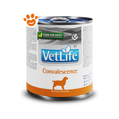Farmina Dog Vet Life Convalescence  - Farmina Dog Vet Life Convalescence - Lattina Da 300 Gr