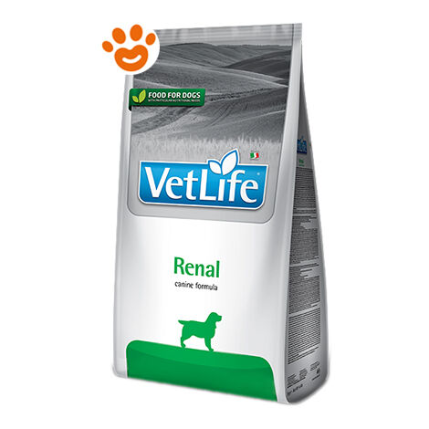 Farmina Dog Vet Life Renal  - Farmina Dog Vet Life Renal - Sacco Da 12 Kg