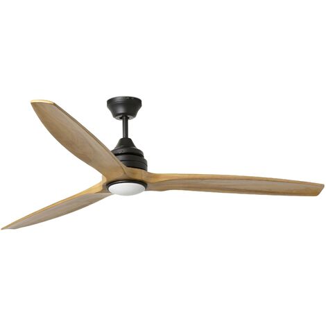 Ceiling fans