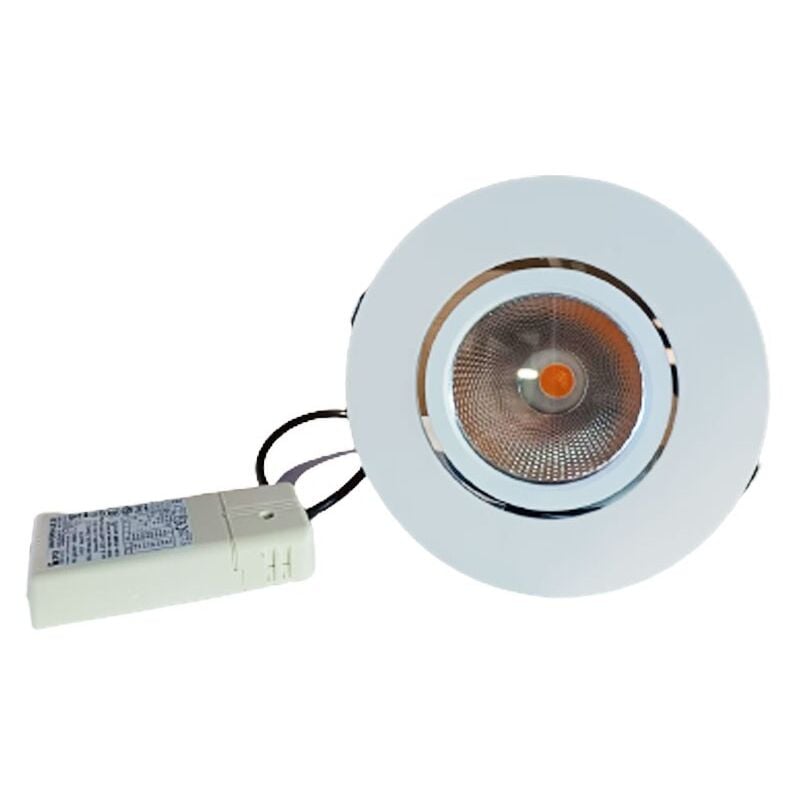 Spot encastré plafond Fosnova réglable led 20W 3000K 40° 2208781600