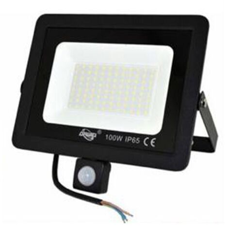 FARO LED FARETTO GIARDINO 100W LUCE FREDDA SENSORE MOVIMENTO CREPUSCOLARE