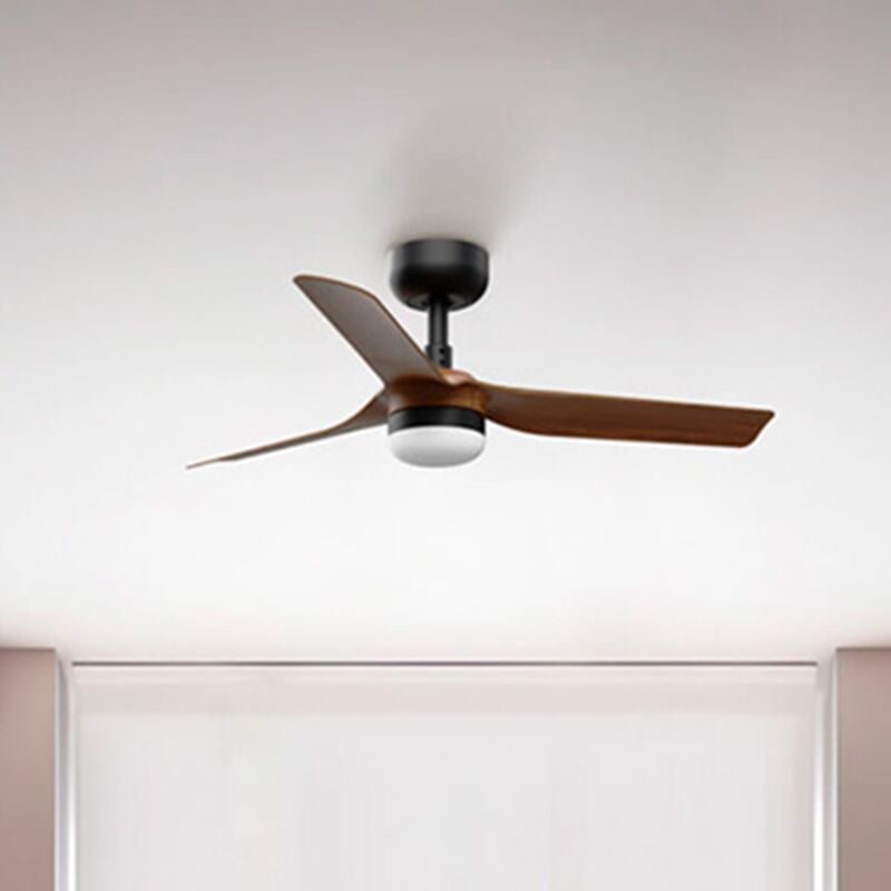 Faro Barcelona - mini punt s Ventilateur avec lumière noire/bois