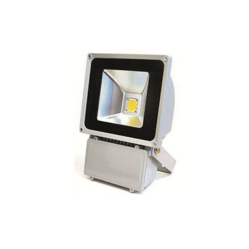 ACD - faro proiettore a led ad alta luminosita' 100W 100 w luce bianca 6000K esterno