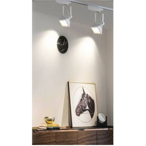 Faro Proiettore Orientabile 30w Luce 6500k 4000k Faretto Led Cob Binario F30w-6a