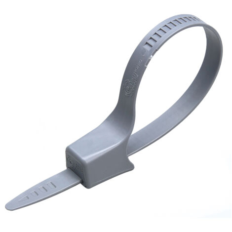 Fascetta antifurto con fascetta lunga 9'' 9169251 Alpha Checkpoint