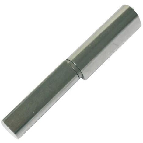 Faure-et-fils Bisagra reversible inox 100 mm duradera