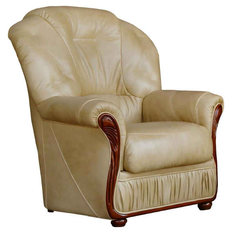 Vente-unique - Fauteuil 100% cuir de buffle beige daphne