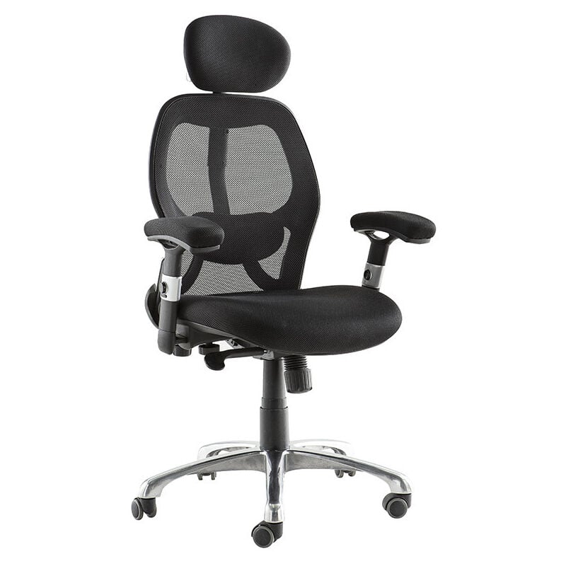 Fauteuil de bureau ergonomique ultimate V2 plus