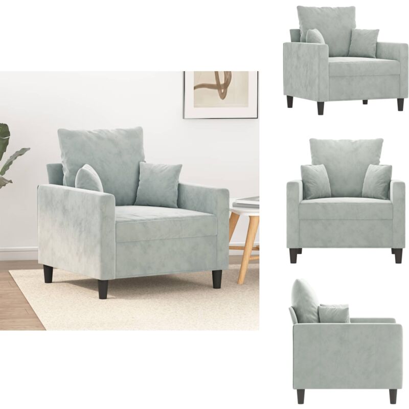 Fauteuil Gris clair 60 cm Velours - Fauteuil Velours - Canapé Gris - Chaise Relaxante - Meuble Salon - Décoration Intérieur