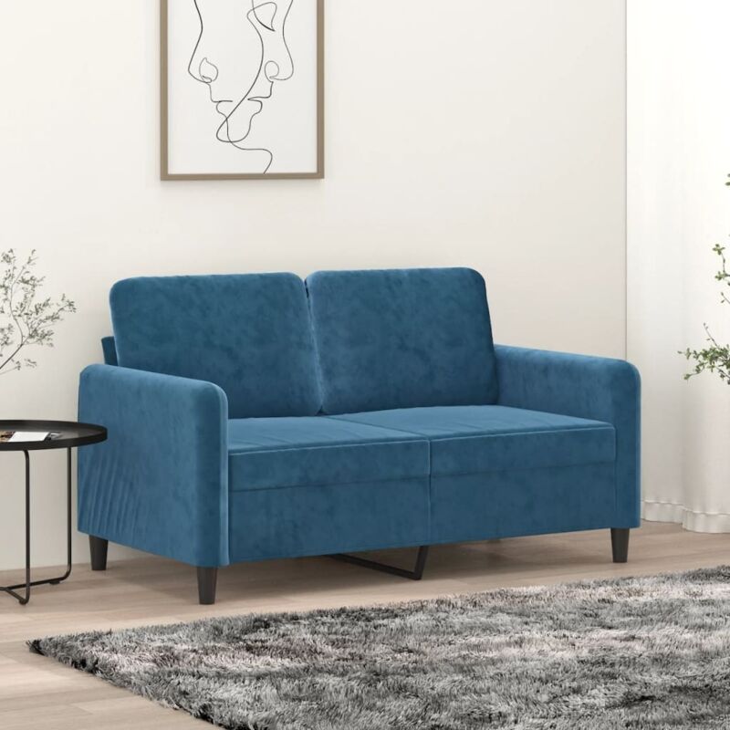 Canapé à 2 places Bleu 120 cm Velours vidaXL