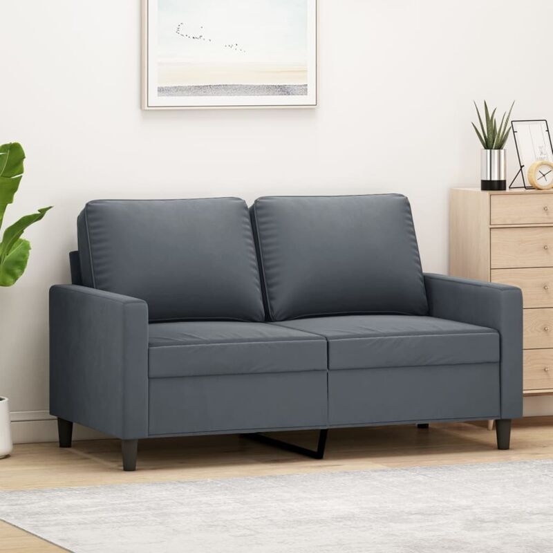Vidaxl - Canapé à 2 places Gris foncé 120 cm Velours
