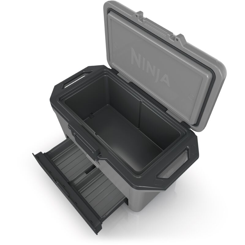 Ninja - FB151EUGY Glacière FrostVault 47 l gris ardoise