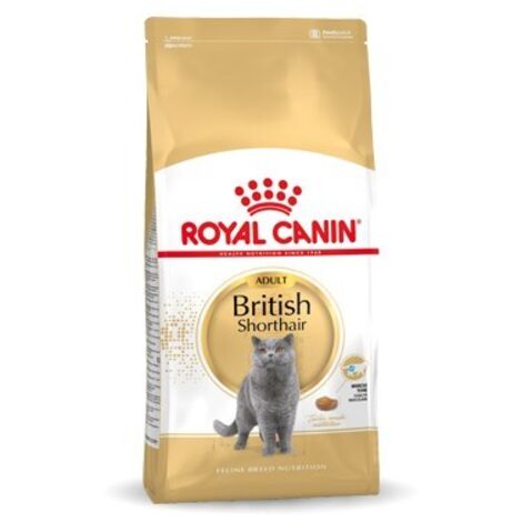 FBN Britisch Kurzhaar 4 kg