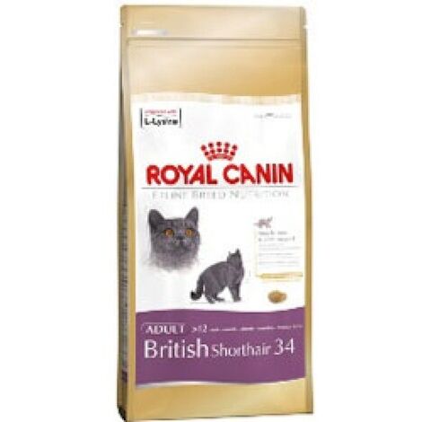 FBN British Shorthair 10 kg