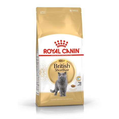 FBN British Shorthair 10 kg
