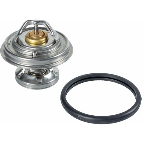 Febi-Bilstein 09672 - Termostato, Refrigerante