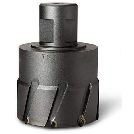 Fein 63502223250 - Lama per sega E-Cut universale BIM Starlock 55 x 44 mm, confezione da 50