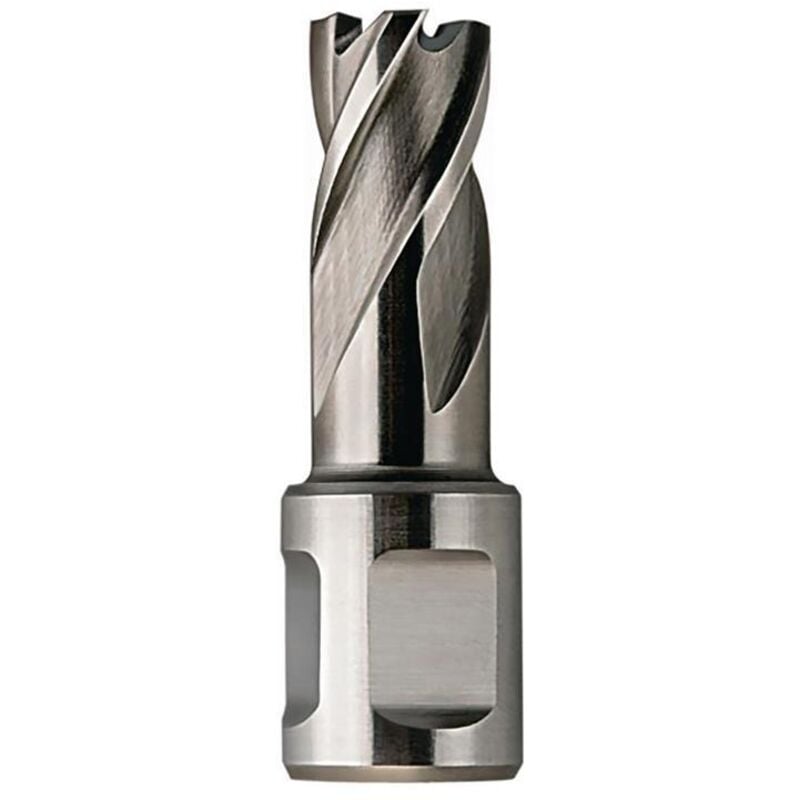 Fein - Fraises hss Nova 25 de diamètre 12mm Weldon 63134350051