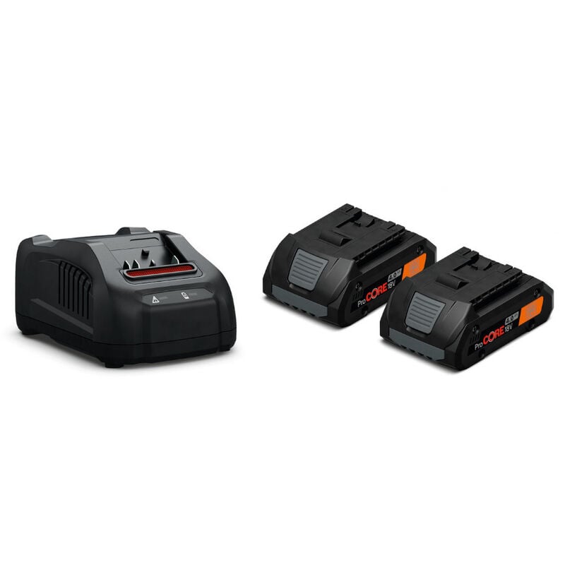 Fein - Pack de 2 batteries 18V ProCORE 4Ah + chargeur 92604228010 - Noir