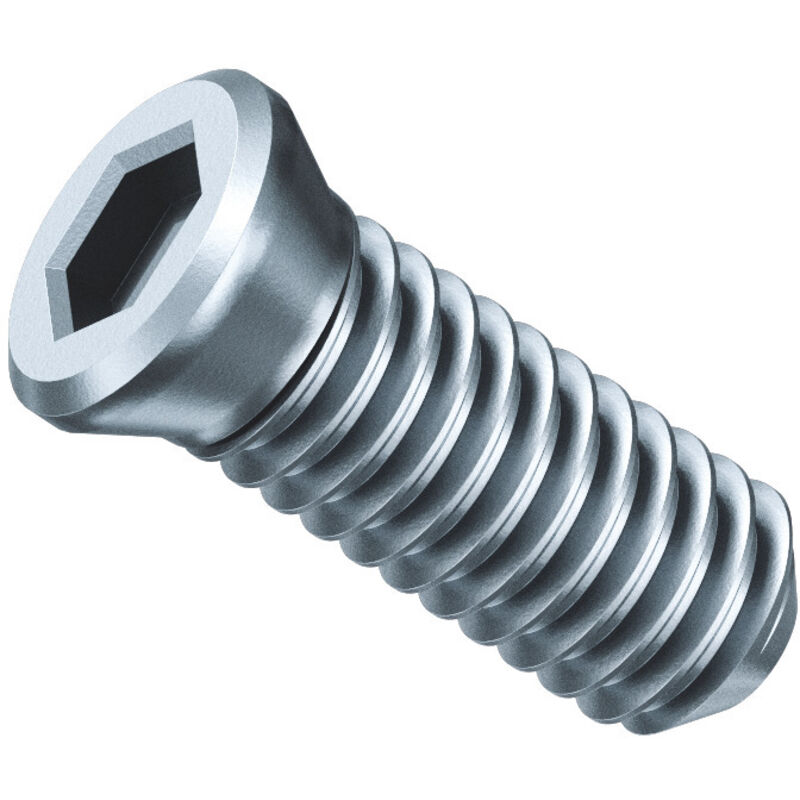 Fein - Vite di bloccaggio SX,Conf.10 pz.