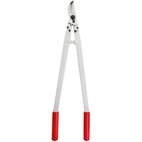 FELCO 21