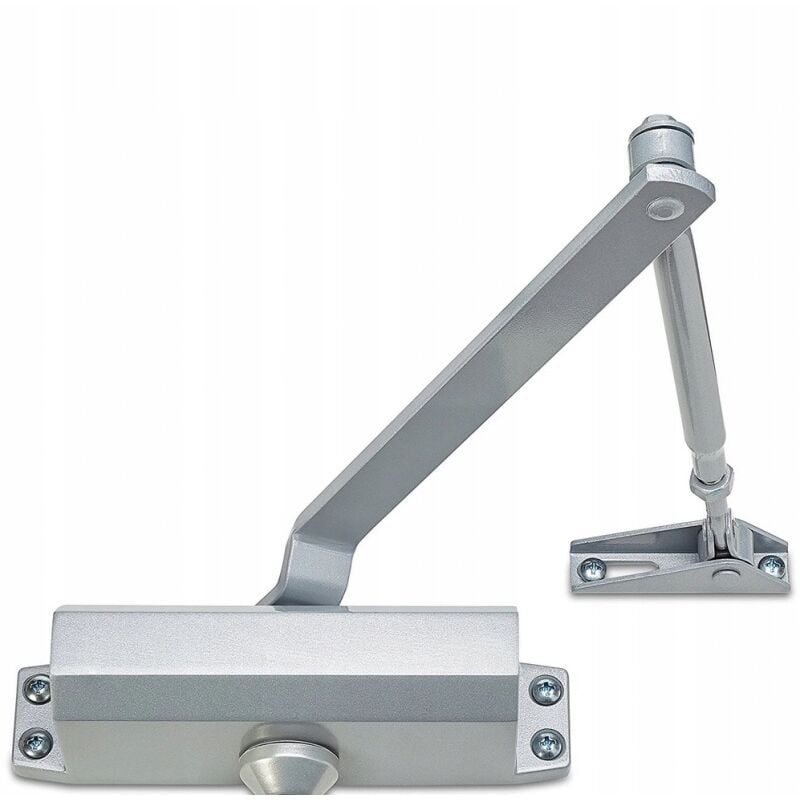 Bricoline - Ferme-porte avec bras 35-60kg