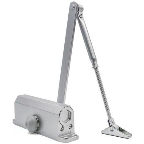 Ferme-porte automatique réglable avec retenue de 60 kg/ressort de porte avec système hydraulique/ferme-porte automatique/ferme-porte de marié/amortisseur de porte (argent)
