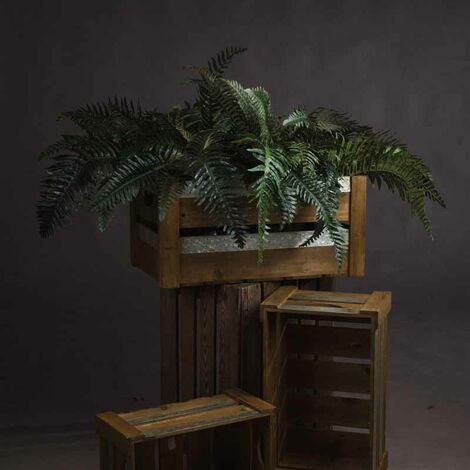 Fern Bunch Artificial Plant - Fabric/Plastic - L80 x W57 x H60 cm - Green
