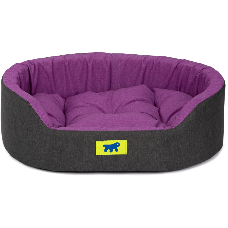 Ferplast - dandy colours Lit d'intérieur pour chien et chat, en coton avec coussin amovible dandy. Variante 55 - Misure: 55 x 41 x h 15 cm - Violette