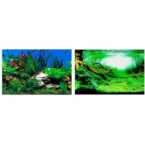 Ferplast BLU 9040 Fond pour aquariums à double image