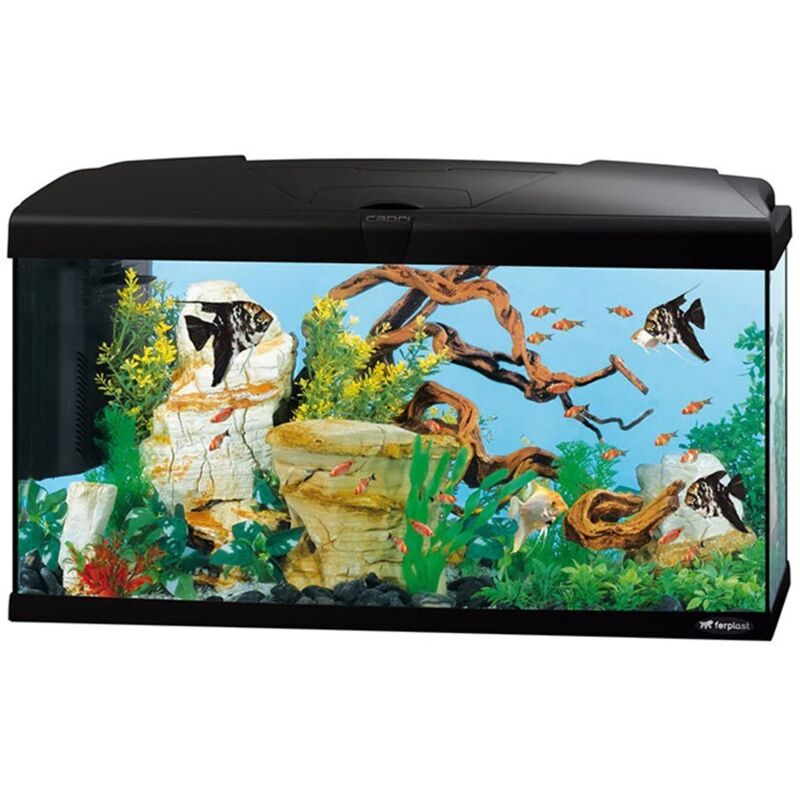 Ferplast - Capri 80 led - Acquario Completo senza Supporto - Colore: Nero