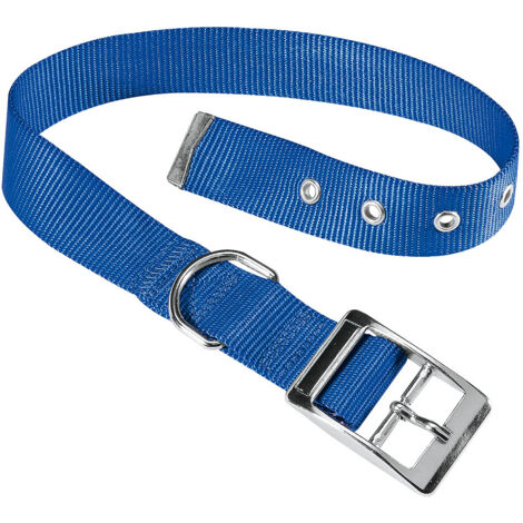 Ferplast CLUB CF Collare in nylon con fibbia di chiusura in metallo - in vari colori e misure. Variante CF20/43 - Misure: A: 35-43 cm B: 20 mm - Blu