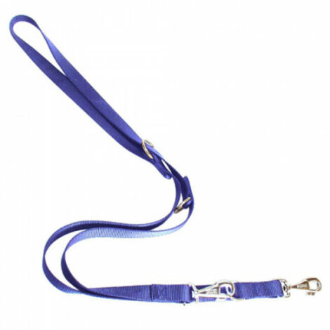 Ferplast Club GA20/200 Laisse 3 positions en Nylon Bleu pour Chiens