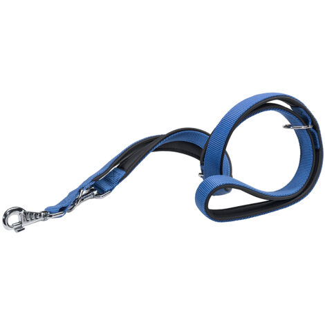 Ferplast DAYTONA GA Guinzaglio in nylon per l'addestramento di cani. Vari colori, 2 misure.. Variante GA20/200 - Misure: 20 mm x L 200 cm - Blu