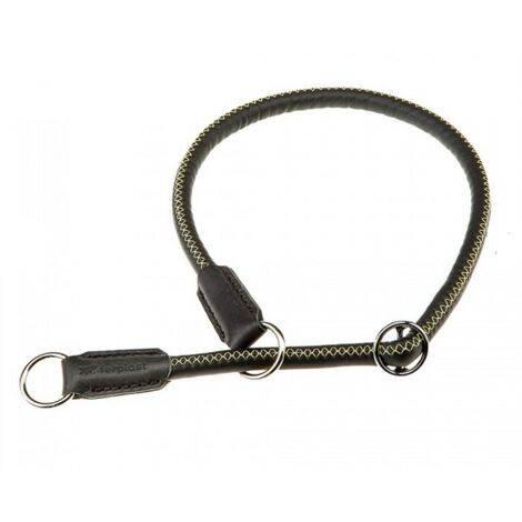 Ferplast DERBY CS Collare a semistrangolo per cani in ecopelle con interno in nylon. Diverse misure e colori.. Variante 12/50 - Misure: A: 50 cm - B: Ø 12 mm - Lilla