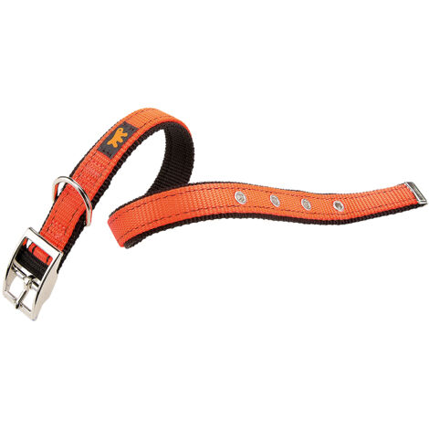 Ferplast DUAL CF COLOURS Collare per cani con fibbia in metallo, 4 misure e 4 colori. Variante CF20/43 - Misure: A: 35-43 cm B: 20 mm - Arancione