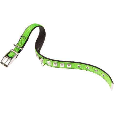 Ferplast DUAL PYRAMIDS CF Collare per cani in nylon con borchie, diverse misure e colori.. Variante CF15/35 - Misure: A: 27-35 cm B: 15 mm - Verde acido