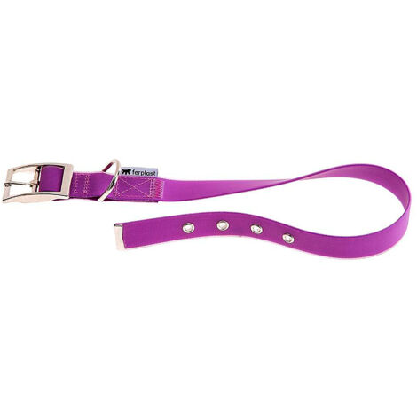 Ferplast EVOLUTION CF Collare in poliestere e Pvc per cani. Vari colori e misure.. Variante CF16/37 - Misure: A: 29-37 cm B: 16 mm - Viola