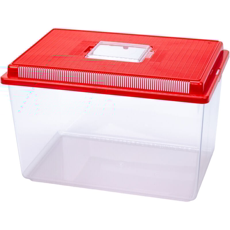 Geo Conteneur pour petits animaux, poissons, tortues et insectes. Variante extra large - Misure: 35.6 x 23.4 x h 22.8 cm - 11 l - Rouge - Ferplast