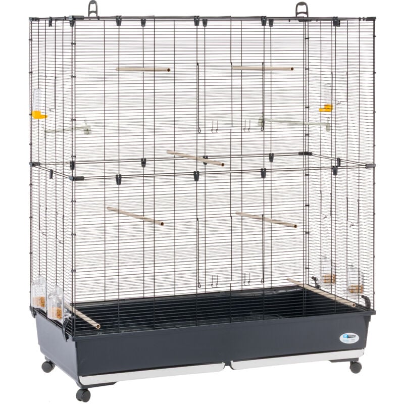 Planeta large Volière Cage à Oiseaux planeta large : Spacieuse cage métallique avec accessoires, idéale pour canaris, perruches et pinsons.. Variante