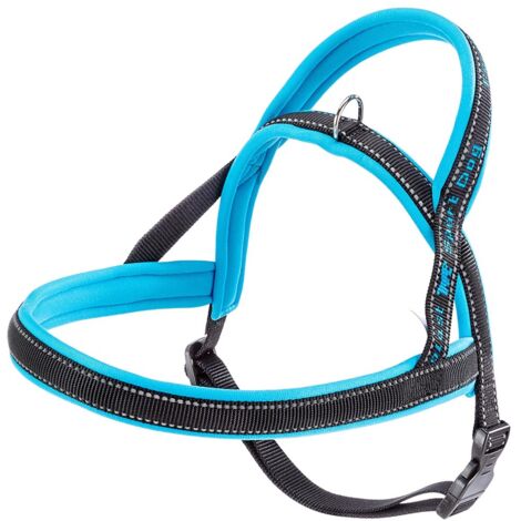 Guinzaglio for Cani in Nylon Riflettente Regolabile Da 2 M Con Collare