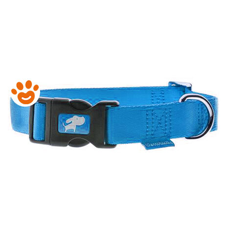 Ferribiella Collar regolabile Nylon 10mmx20-35 cm ciano