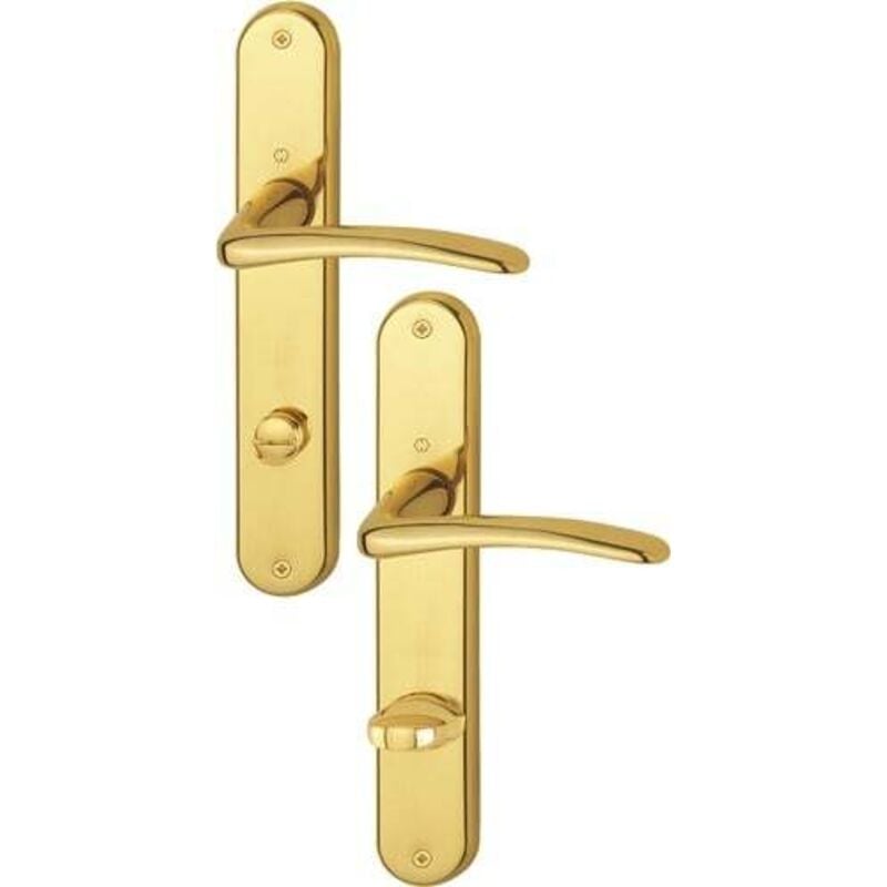 Garniture à plaque longue Istanbul M171/332P ms F71 sk/ol 78mm din re - 844227 - Hoppe