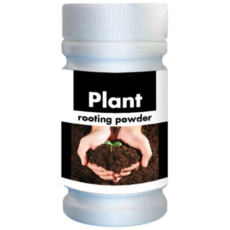 Fertilizante en polvo de rápido enraizamiento para plantas jóvenes [50 g de aminoácidos] Raíces densas Ayuda para la supervivencia de plántulas Jardinería Plantas de interior